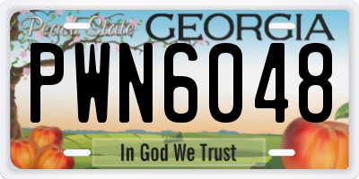 GA license plate PWN6048