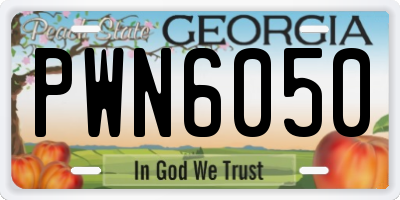 GA license plate PWN6050