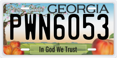 GA license plate PWN6053