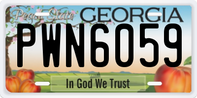GA license plate PWN6059