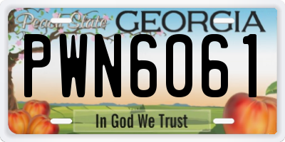GA license plate PWN6061