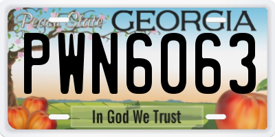GA license plate PWN6063