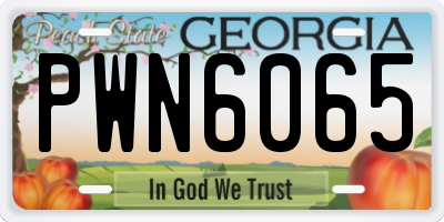 GA license plate PWN6065