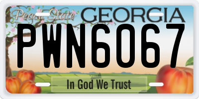 GA license plate PWN6067