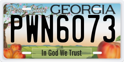 GA license plate PWN6073
