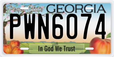 GA license plate PWN6074