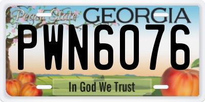 GA license plate PWN6076