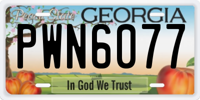 GA license plate PWN6077