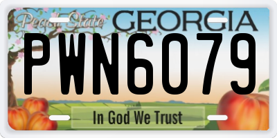 GA license plate PWN6079