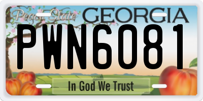 GA license plate PWN6081