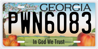 GA license plate PWN6083