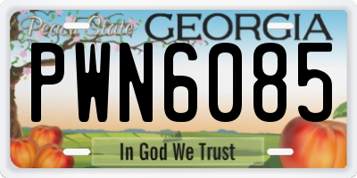 GA license plate PWN6085