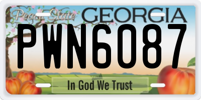 GA license plate PWN6087