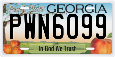 GA license plate PWN6099