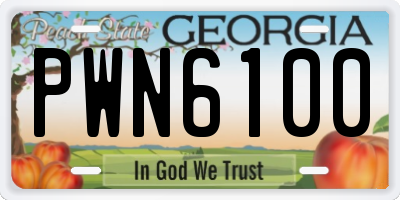 GA license plate PWN6100