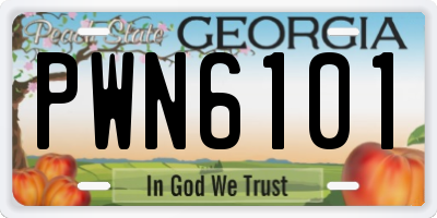 GA license plate PWN6101