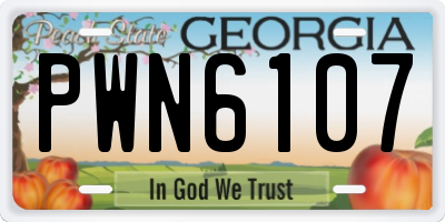 GA license plate PWN6107