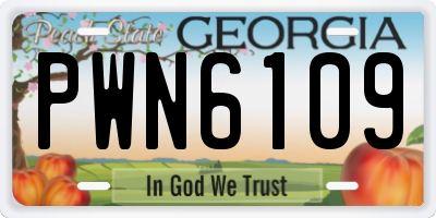 GA license plate PWN6109