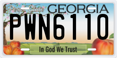 GA license plate PWN6110