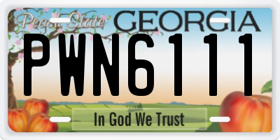 GA license plate PWN6111