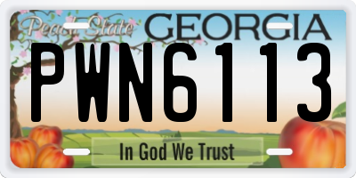 GA license plate PWN6113