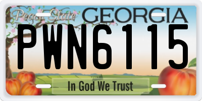 GA license plate PWN6115