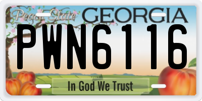 GA license plate PWN6116