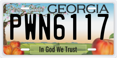 GA license plate PWN6117