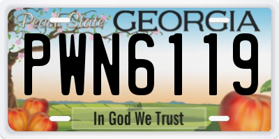 GA license plate PWN6119