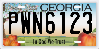 GA license plate PWN6123