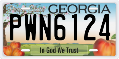 GA license plate PWN6124