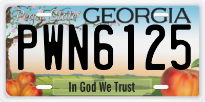 GA license plate PWN6125