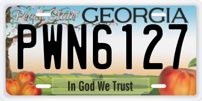 GA license plate PWN6127