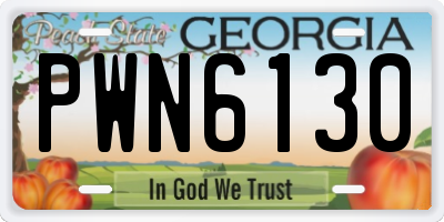GA license plate PWN6130