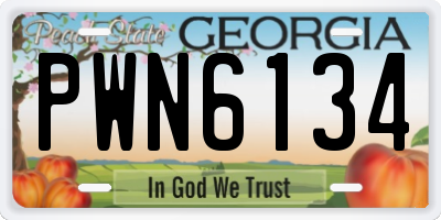 GA license plate PWN6134