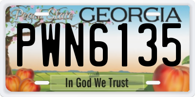 GA license plate PWN6135