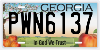 GA license plate PWN6137