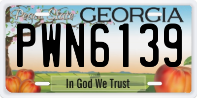 GA license plate PWN6139