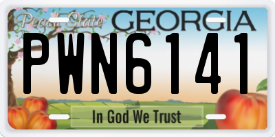 GA license plate PWN6141