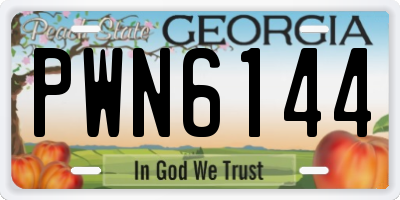 GA license plate PWN6144