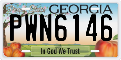 GA license plate PWN6146