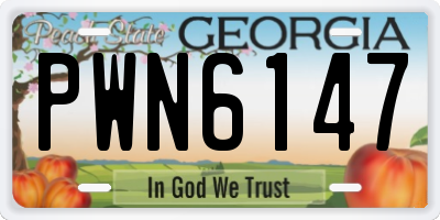 GA license plate PWN6147