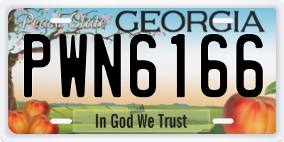 GA license plate PWN6166