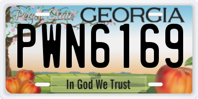 GA license plate PWN6169