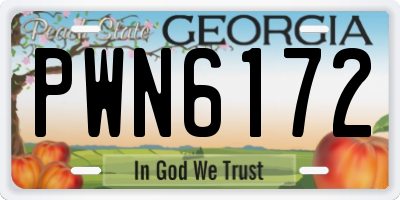 GA license plate PWN6172