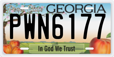 GA license plate PWN6177