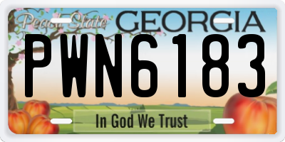 GA license plate PWN6183