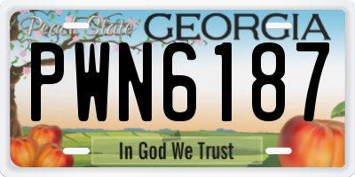 GA license plate PWN6187