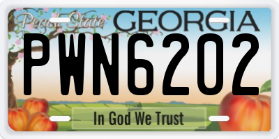 GA license plate PWN6202