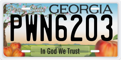 GA license plate PWN6203